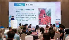 他們帶著高中時澀與憧憬