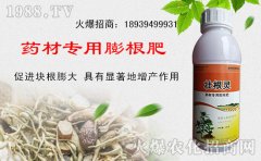 <strong>田问办理次要包罗中耕除草、逃肥、摘蕾</strong>